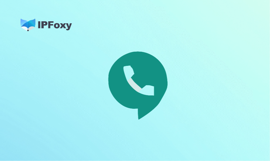 Why Google Voice Won’t Release After Verification?