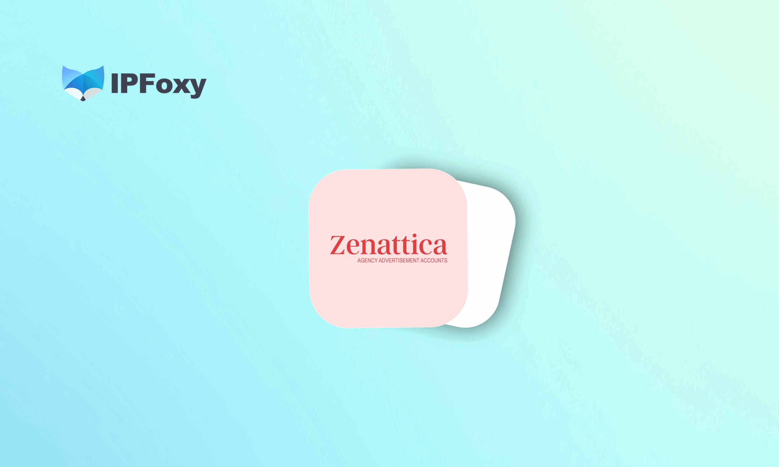 Partnership with Zenattica: profitable, reliable, promising
